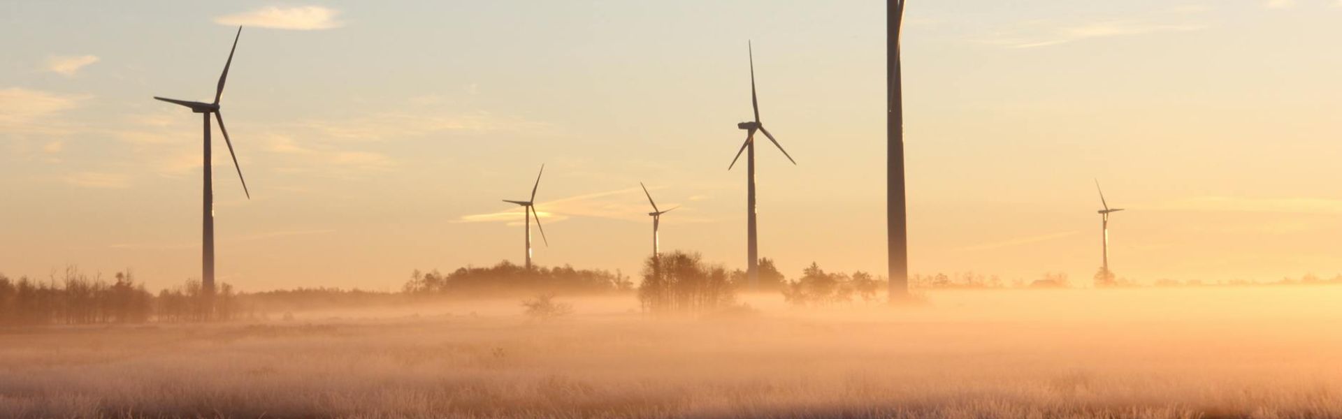 Sustainability Overview